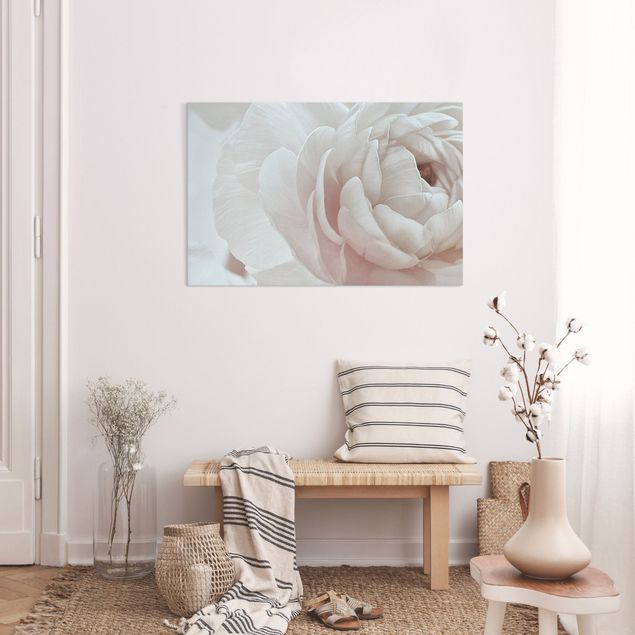 Wandbilder Rosen Weiße Blüte im Blütenmeer