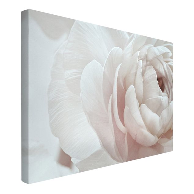 Moderne Leinwandbilder Wohnzimmer Weiße Blüte im Blütenmeer