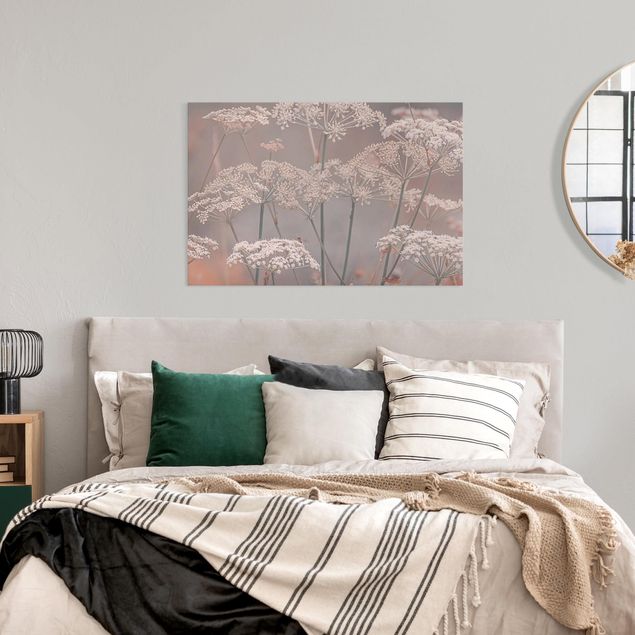 Leinwandbilder Wohnzimmer modern Wilde Doldenblüten