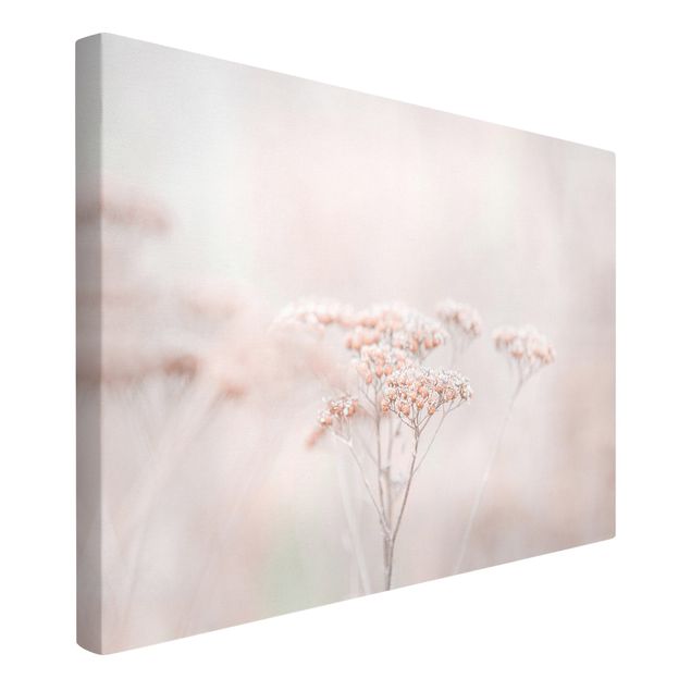 Leinwandbilder Wohnzimmer modern Zartrosane Wildblumen