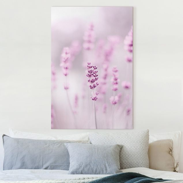 Leinwandbilder XXL Zartvioletter Lavendel