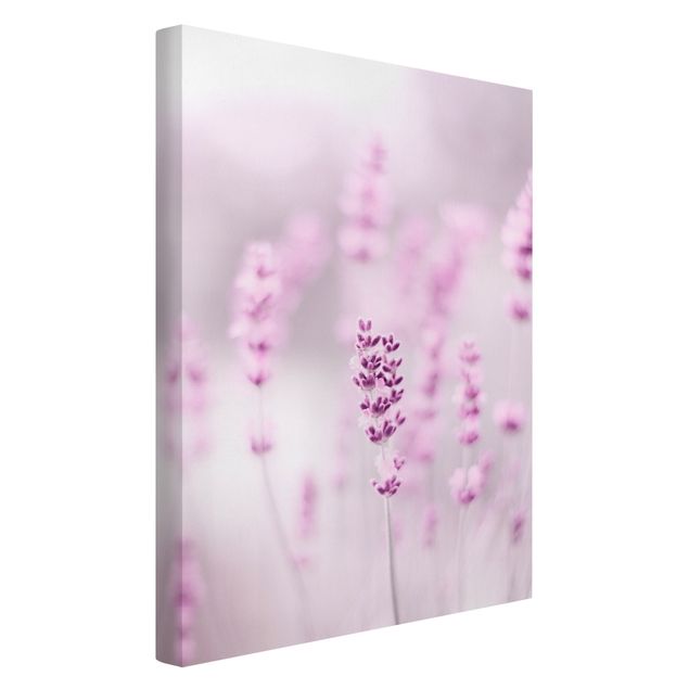 Leinwand Kunstdruck Zartvioletter Lavendel