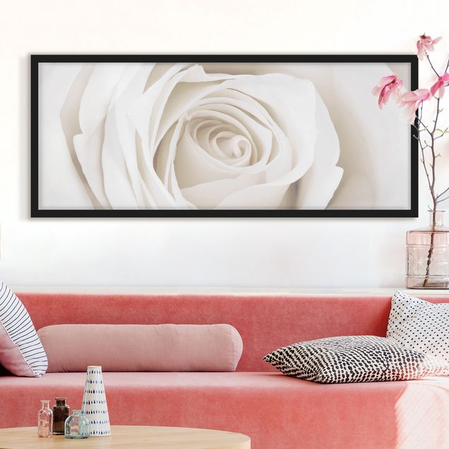 Blumen Bilder mit Rahmen Pretty White Rose