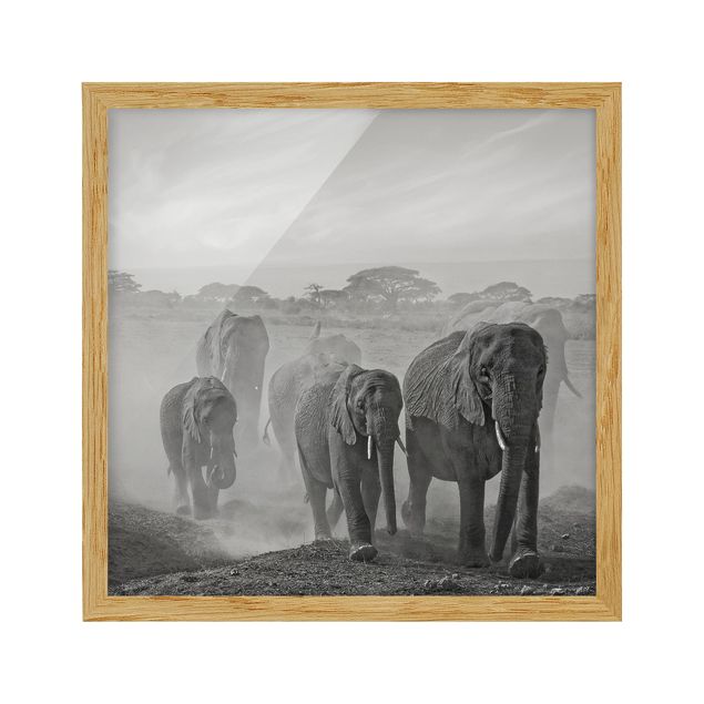Wandbilder mit Rahmen Elefantenherde