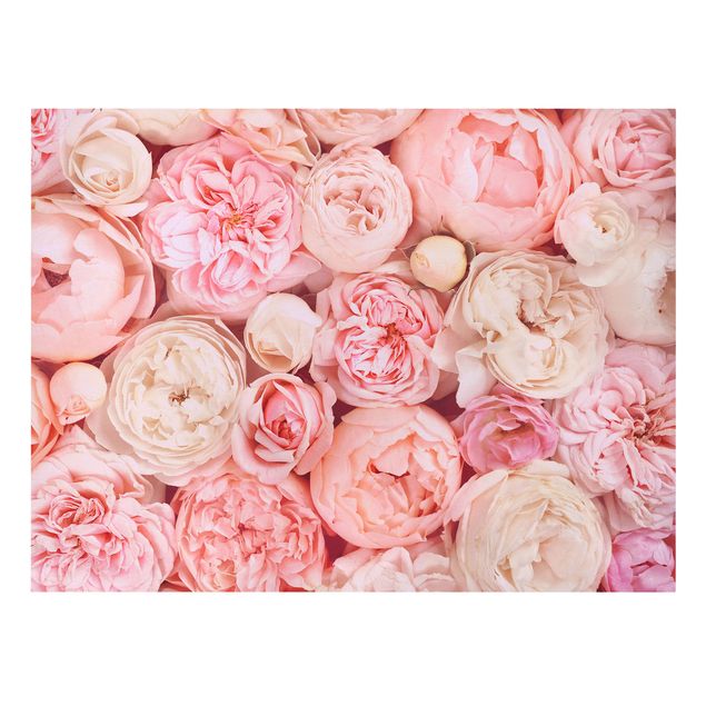 Leinwandbilder Wohnzimmer modern Rosen Rosé Koralle Shabby