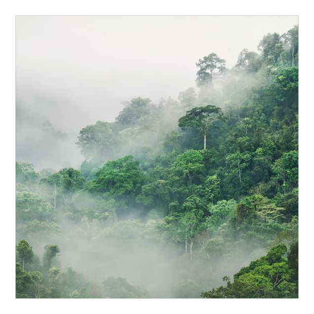 Tapete grün Dschungel im Nebel