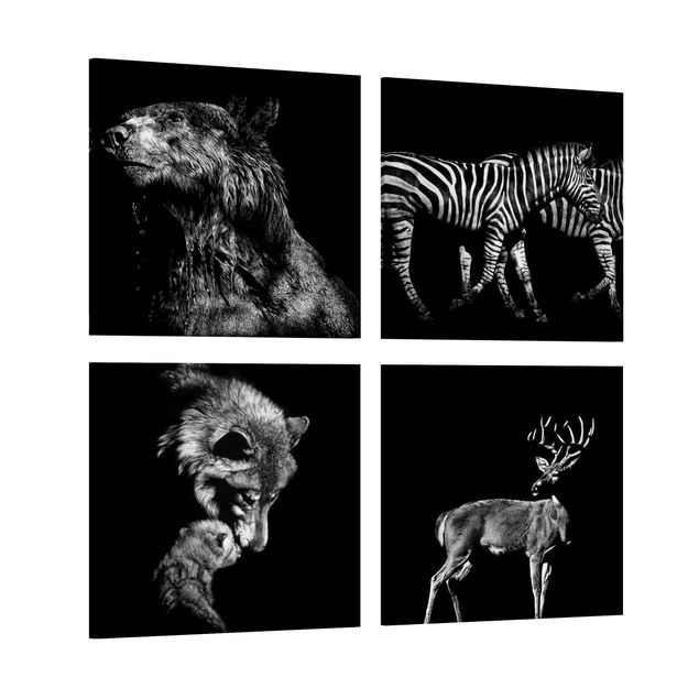 Leinwandbilder Schwarz-Weiß Wildtiere vor Schwarz Set I