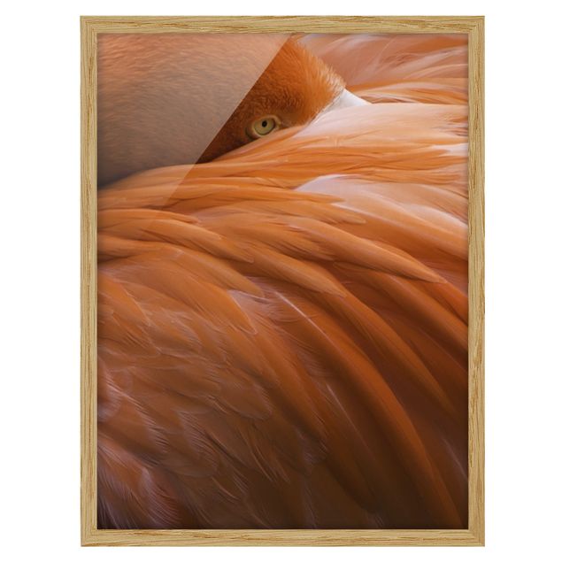Bild mit Rahmen - Flamingofedern - Hochformat 3:4