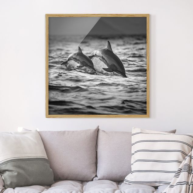 Bilder mit Rahmen Schwarz-Weiß Zwei springende Delfine