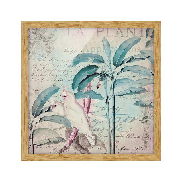 Kunstdruck Bilder mit Rahmen Colonial Style Collage - Kakadus und Palmen