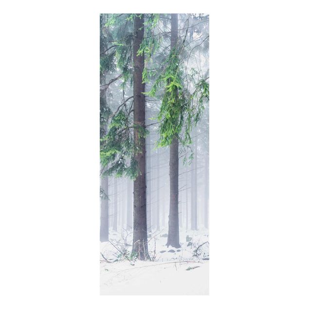Glasbild - Nadelbäume im Winter - Panel