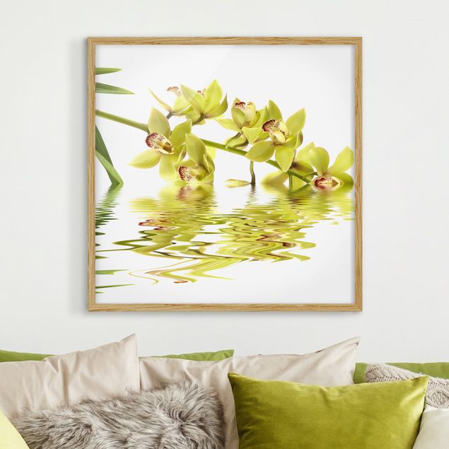 Gerahmte Bilder Blumen Elegant Orchid Waters