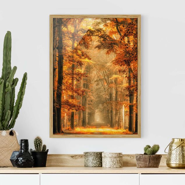 Landschaftsbilder mit Rahmen Märchenwald im Herbst