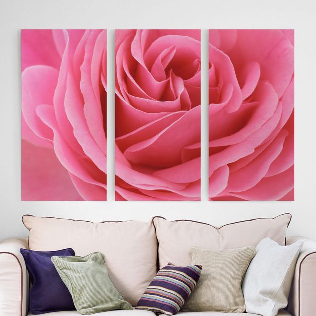 Wandbilder XXL Lustful Pink Rose