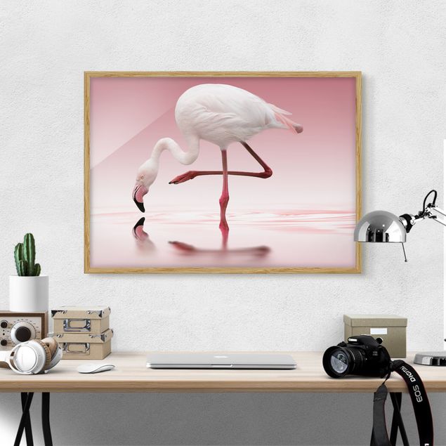Bilder für die Wand Flamingo Dance