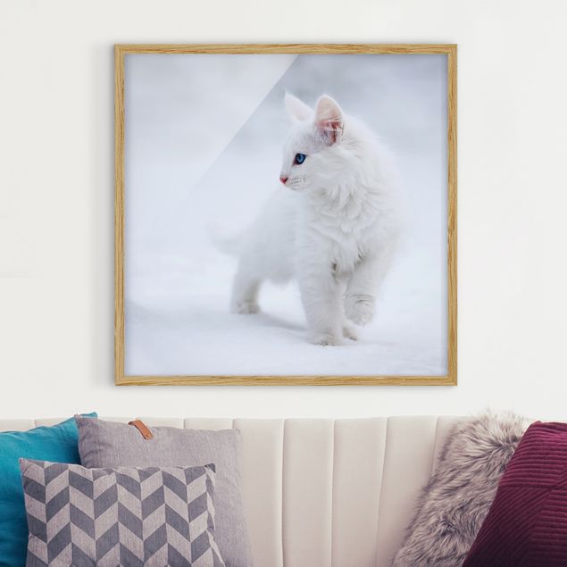 Wandbilder Tiere Weiß wie Schnee