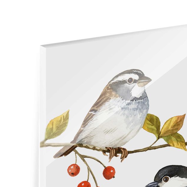 Glasbild - Vögel und Beeren - Meisen - Quadrat 1:1