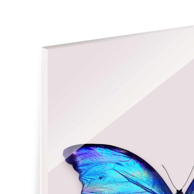 Glasbild - Jonas Loose - Holografischer Schmetterling - Hochformat 4:3