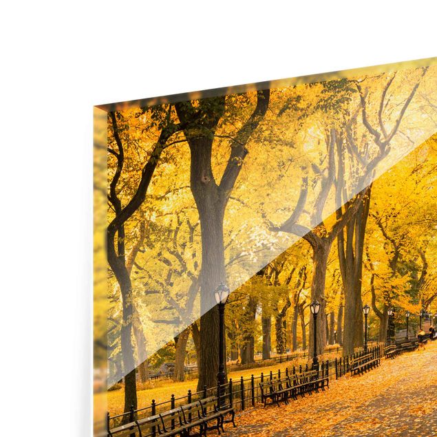 Glasbild - Herbst im Central Park - Querformat 3:2