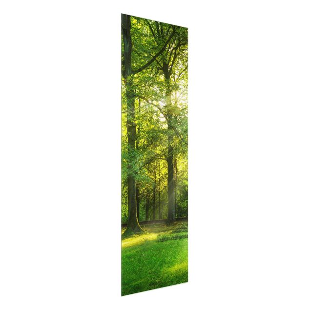 Glasbild - Spaziergang im Wald - Panel