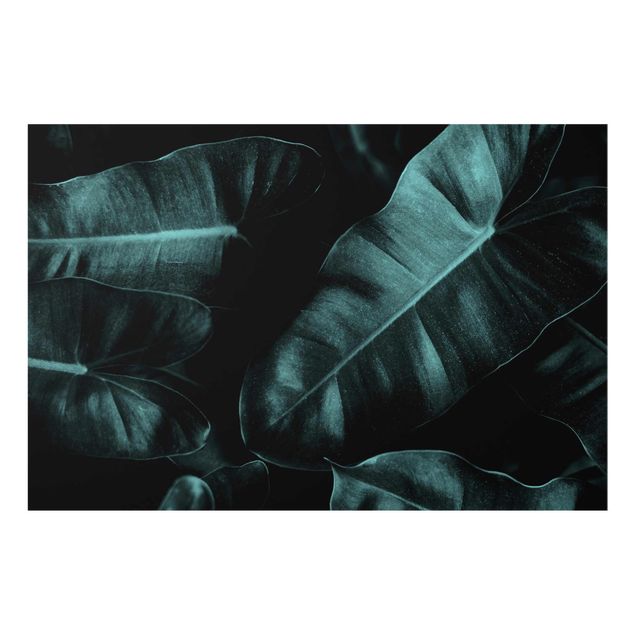 Bilder für die Wand Dschungel Blätter Dunkelgrün