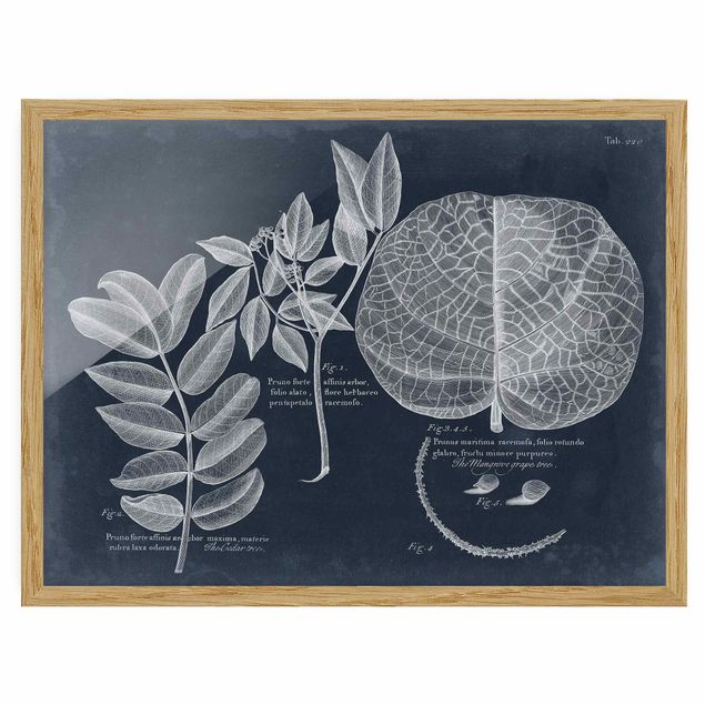 Bilder für die Wand Blattwerk Dunkelblau - Mangrove