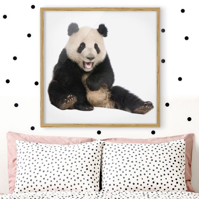 Wandbilder Tiere Lachender Panda