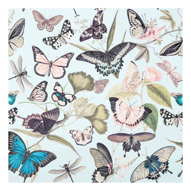 Schöne Wandbilder Vintage Collage - Schmetterlinge und Libellen
