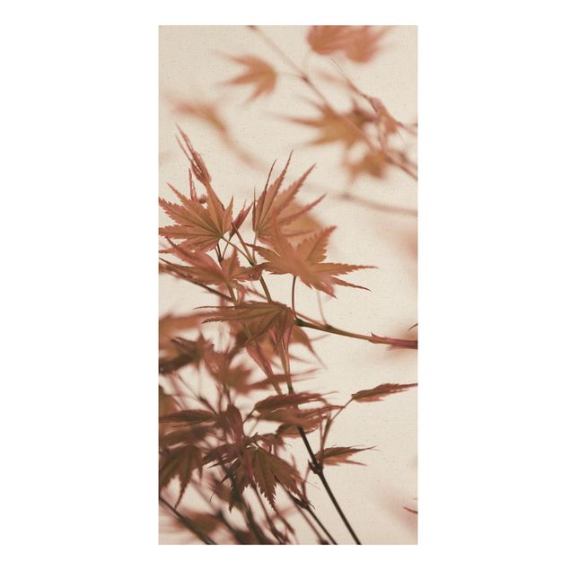 Bilder auf Leinwand Ahornblätter in Herbstsonne