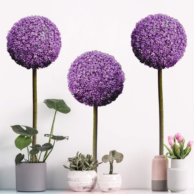 Wandtattoo Floral Allium Kugel-Blüten 3er Set