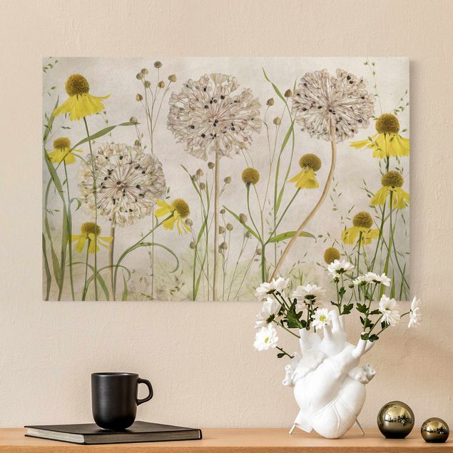 Leinwandbilder Blumen Allium und Helenium Illustration
