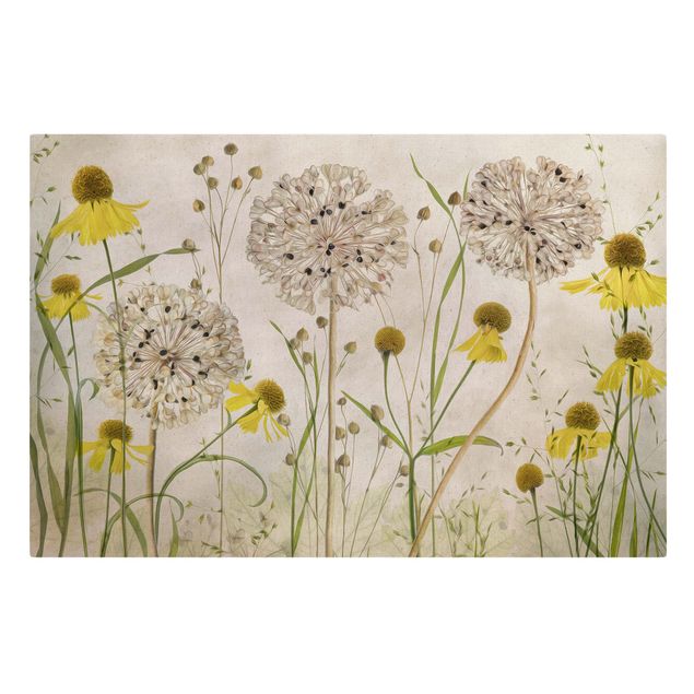 Wandbilder Allium und Helenium Illustration