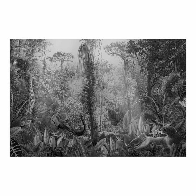 Tapete Natur Antiker Dschungel Schwarz Weiß