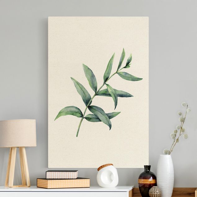 Leinwandbilder Blumen Aquarell Eucalyptus I