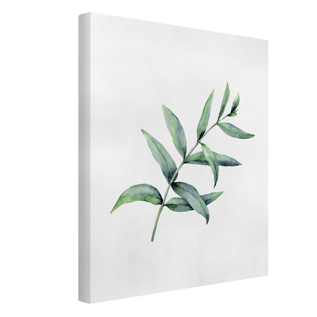 Wandbilder Wohnzimmer modern Aquarell Eucalyptus I