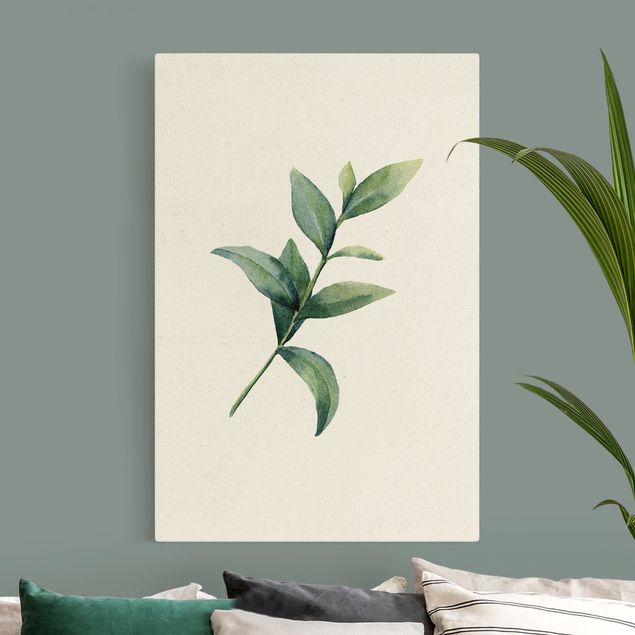 Wandbilder Blumen Aquarell Eucalyptus II