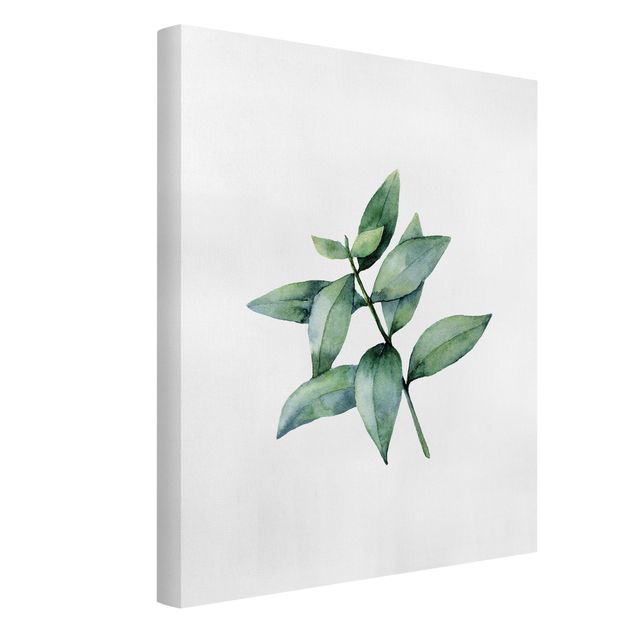 Moderne Leinwandbilder Wohnzimmer Aquarell Eucalyptus III
