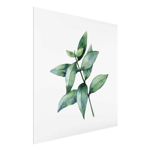 Wandbilder Aquarell Eucalyptus III