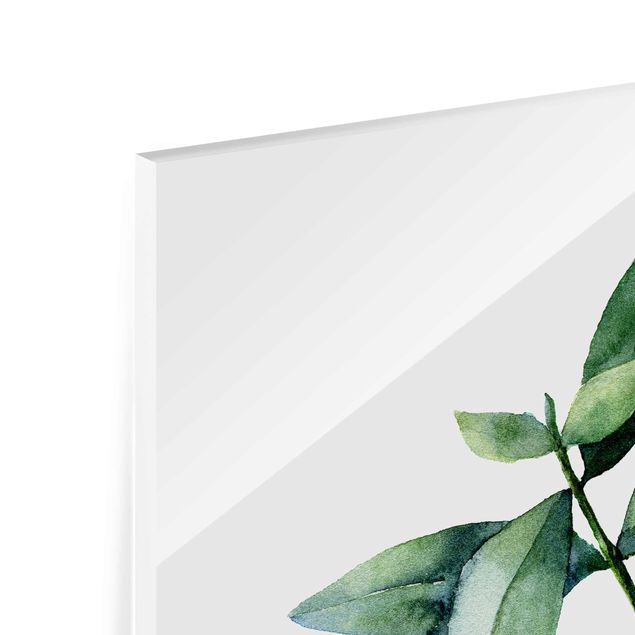 Glasbild - Aquarell Eucalyptus III - Quadrat