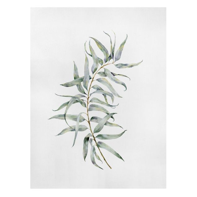 Schöne Wandbilder Aquarell Eucalyptus IV