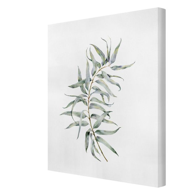 Bilder auf Leinwand Aquarell Eucalyptus IV