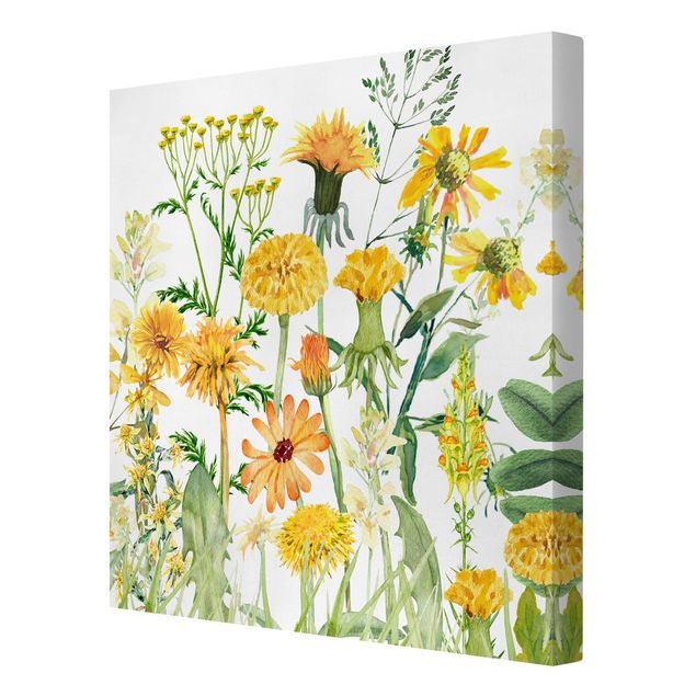 Bilder auf Leinwand Aquarellierte Blumenwiese in Gelb