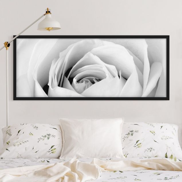 Schwarz-Weiß Bilder mit Rahmen Close Up Rose