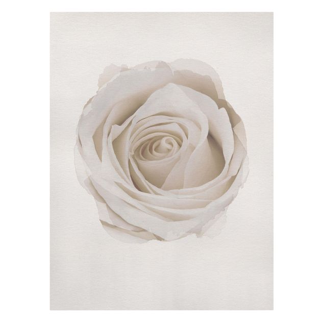 Bilder für die Wand Wasserfarben - Pretty White Rose
