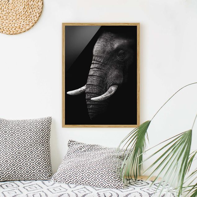 Natur Bilder mit Rahmen Dunkles Elefanten Portrait