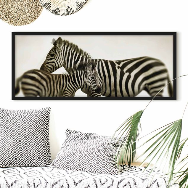 Bilder mit Rahmen Schwarz-Weiß Zebrapaar
