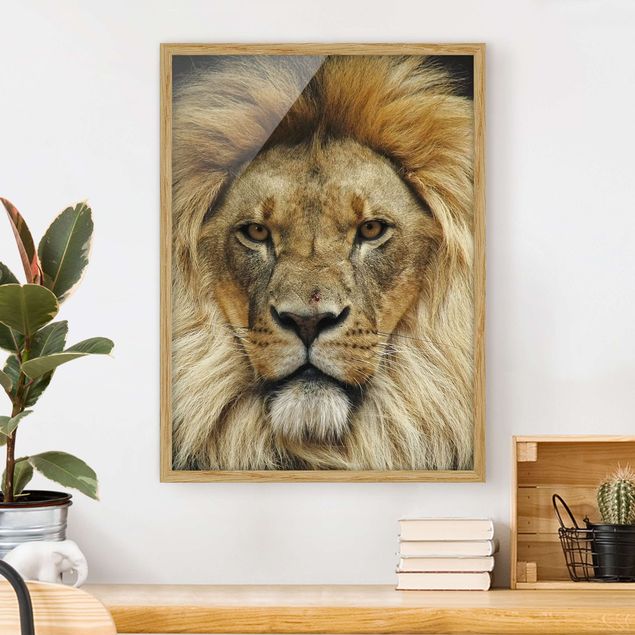 Schöne Wandbilder Wisdom of Lion