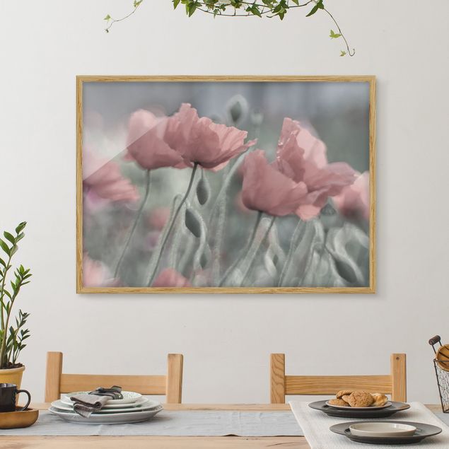 Gerahmte Bilder Blumen Malerische Mohnblumen