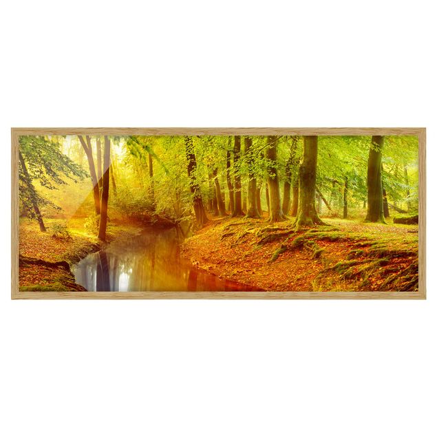 Bild mit Rahmen - Herbstwald - Panorama Querformat