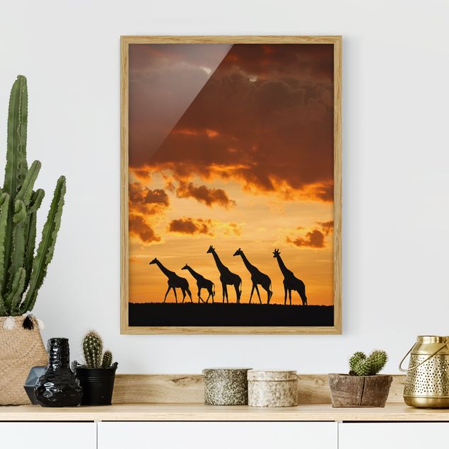 Wandbilder Tiere Fünf Giraffen